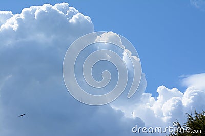 Unpoluted sky with cumulus clouds Stock Photo