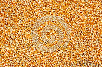 Unpopped popcorn, surface and background Stock Photo