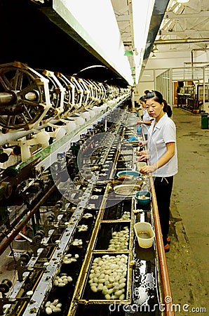 Unravelling Silk Thread from Cocoons, Silk Factory, Suzhou China Editorial Stock Photo