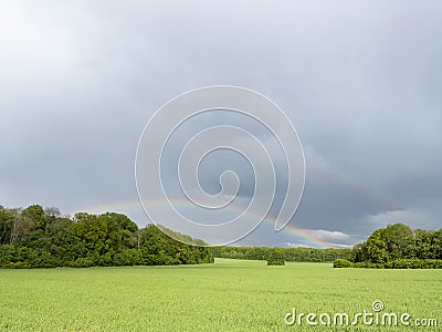 Unreal meadow in spring rainy day with rainbow Stock Photo