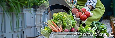 Unrecognisable female farmer holding crate full of freshly picked vegetables in her garden. Homegrown bio produce. Stock Photo