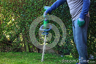 An unrecognisable male gardener wearing safety gloves and holding a cordless hedge trimmer Stock Photo