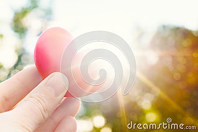 Person holding heart shaped plum against the sun. Love concept lifestyle image with sun flare. Valentine`s day background. Stock Photo