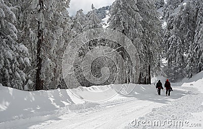 Unrecognised people walking frozen road in snow in winter. Troodos cyprus wintertime Stock Photo