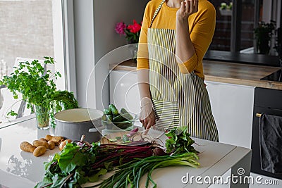 Unrecognizable cropped woman in striped apron choose vegetable to chop and slice. Rustic organic food for loosing weight Stock Photo