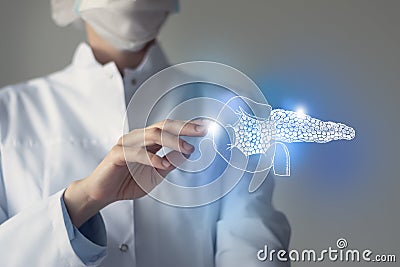 Unrecognizable doctor caring highlighted blue handrawn Pancreas. Medical illustration, template, science mockup Stock Photo