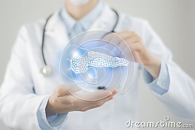 Unrecognizable doctor holding highlighted handrawn Pancreas in hands. Medical illustration, template, science mockup Stock Photo