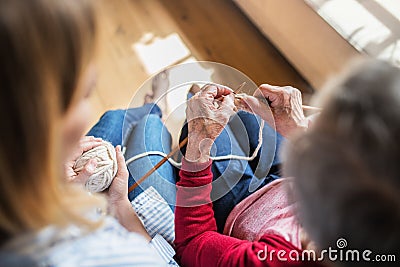 An unrecognizable elderly grandmother and adult granddaughter at home, knitting. Stock Photo