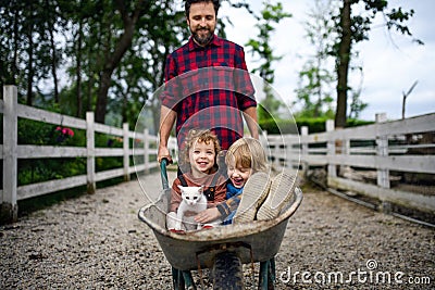 Unrecognizable father pushing small children in wheelbarrow on farm. Stock Photo