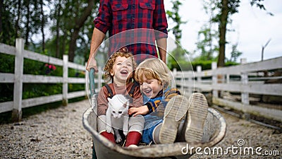 Unrecognizable father pushing small children in wheelbarrow on farm. Stock Photo