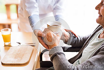 Unrecognizable health visitor and a senior woman during home visit. Stock Photo