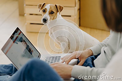 Unrecognizable man works on laptop comuter, keyboards and surfs internet webpage, sits on floor near carton boxes, searches new Stock Photo