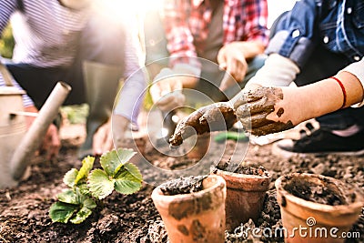 Senior couple with grandaughter gardening in the backyard garden Stock Photo