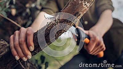 Unrecognizable woman sawing wood hand saw. Close-up. Survival Bushcraft Concept Stock Photo