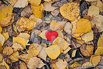 Unrequited, one-sided love or loneliness concept Stock Photo