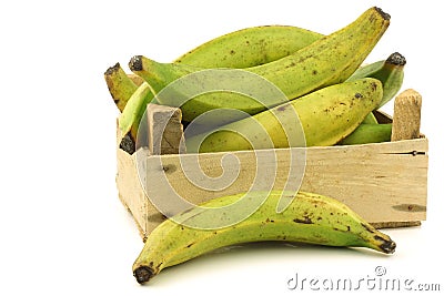 Unripe baking bananas (plantain bananas) Stock Photo