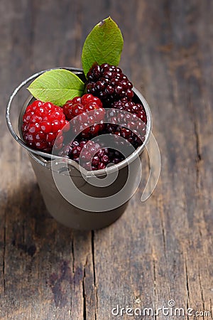 Unripe blackberry in small bucket Stock Photo