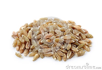 Unripe spelt wheat Stock Photo