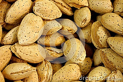 Unshelled Almonds Stock Photo