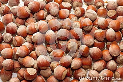 Unshelled brown hazelnuts in bulk background Stock Photo