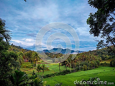 unspoiled green nature with such beautiful scenery Stock Photo