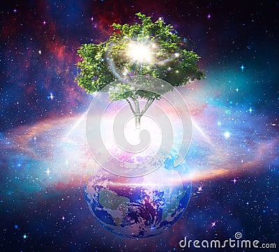 Tree of life, cosmic womb, Earth creation, portal universal love, life, healing energyconcept Stock Photo