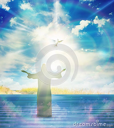 Freedom, peace and spirituality pigeon, white dove on blue sky Stock Photo