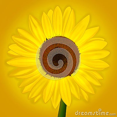 Yellow sunflower digital painting art illustration Cartoon Illustration