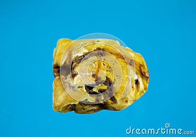 An amber gemstone and healing stone Stock Photo