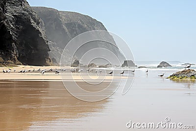 Untouched nature in Portugal Stock Photo