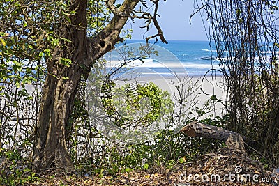 Untouched sandy beach Stock Photo