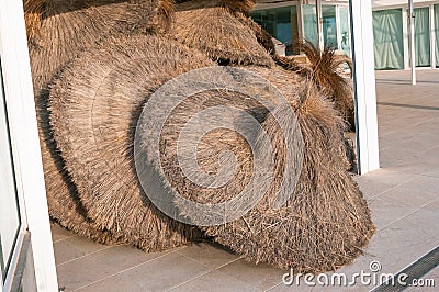 Unused, stacked straw umbrellas Stock Photo