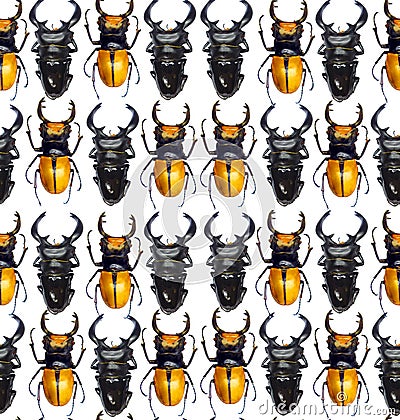 Unusual background with yellow black beetles Lucanus, horror halloween, exotic seamless pattern Stock Photo
