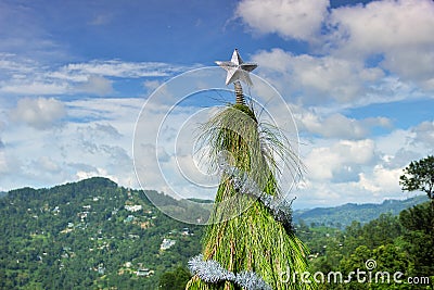 Unusual Christmas tree for the new year Stock Photo