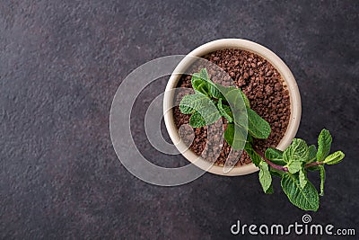 Unusual dessert tiramisuu with mint Stock Photo