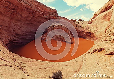 Cosmic Ashtray Stock Photo