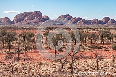 Unusual panoramic view of Mount Kata Tjuta - The Olgas. Several rocky domes eroded by water and wind. Trees and dry vegetation. Editorial Stock Photo