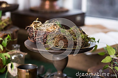 Unusual semi-antique decor items with live plants Stock Photo