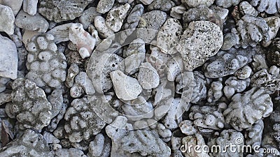 The unusual stones on the beach tropical island Saipan Stock Photo
