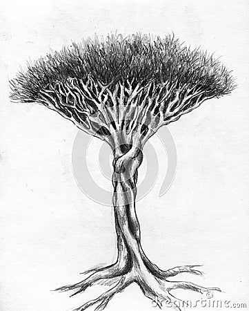 Unusual tree - pencil drawing Stock Photo