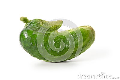 Unusual vegetables. Two fresh cucumbers have merged. Front view. Full depth of field Stock Photo