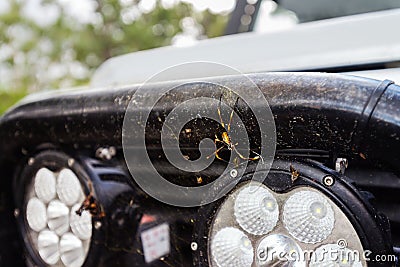 Spider caught on 4x4 bull bar Stock Photo