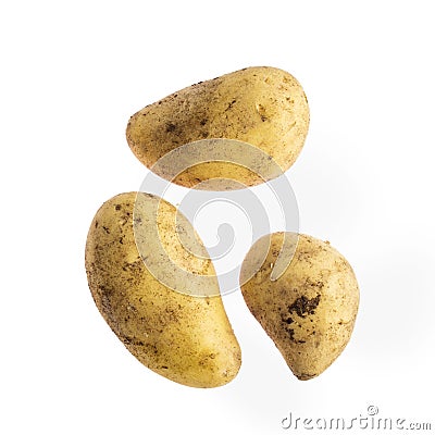 Unwashed potato is isolated on white background Stock Photo