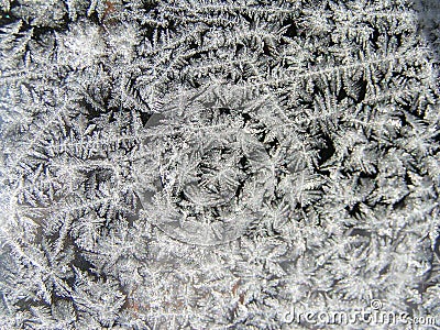 Up close Jack Frost Stock Photo
