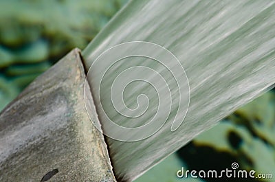 Up close picture of shooting water Stock Photo