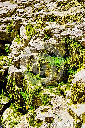 Up close of rock wall with patches of moss and lichen Stock Photo