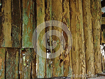 Up termite close wood Stock Photo