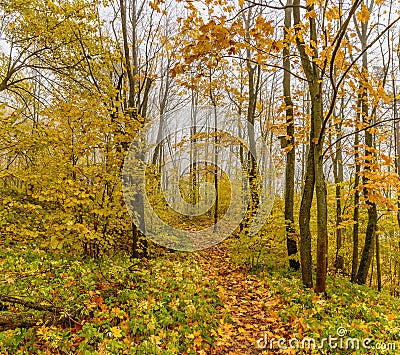 Upland Park is a landscape Park occupying the Orekhovaya mountain. Stock Photo