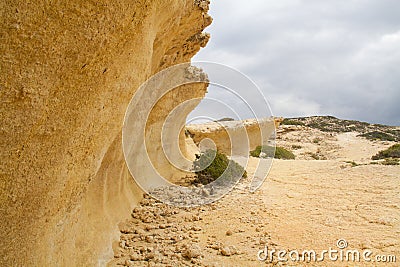 Uplifted wavecut notch on Crete, Greece Stock Photo