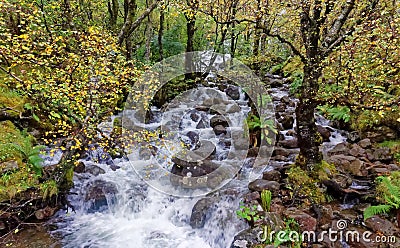 Upper Falls, Glen Nevis in Autumn Stock Photo